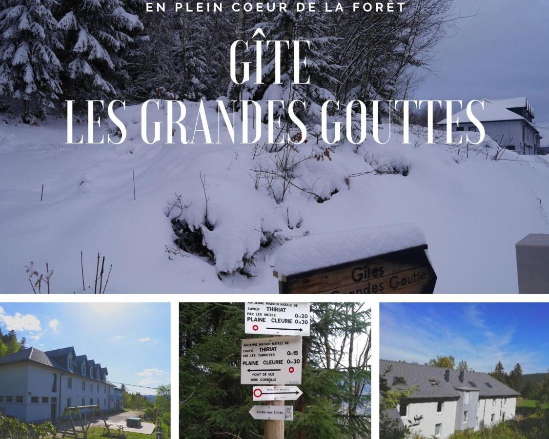 Gites Les Grandes Gouttes Le Syndicat 外观 照片